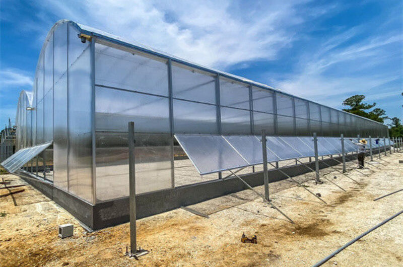 Multi Span Arch Roof Polycarbonate Greenhouse With Intelligent Systems