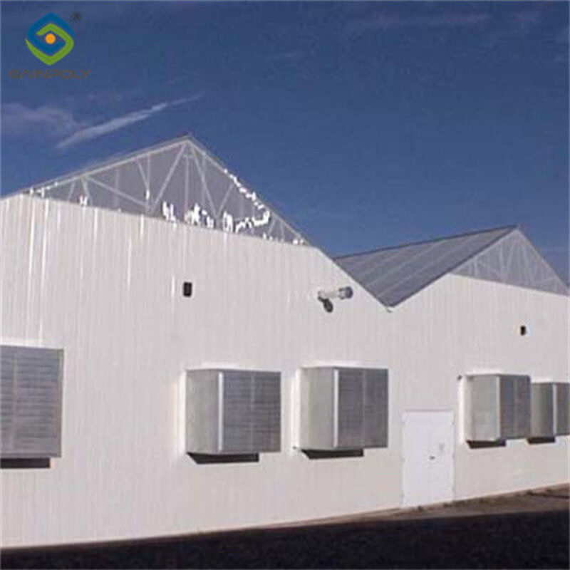 Multi Span Auto Blackout Greenhouse 3 Layers With Steel Structure