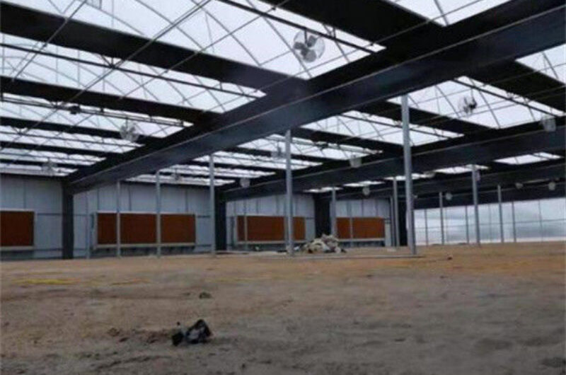 Multi Span Auto Blackout Greenhouse 3 Layers With Steel Structure