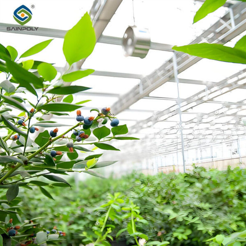 Multi Span Blueberry Planting Fruit Growing Greenhouse With Irrigation System