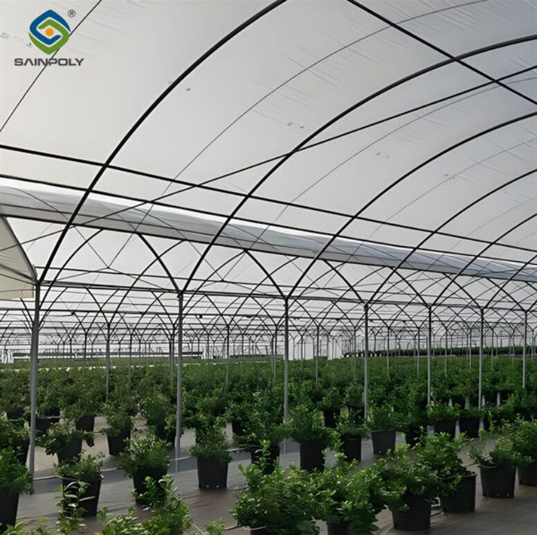 Multi Span Blueberry Planting Fruit Growing Greenhouse With Irrigation System