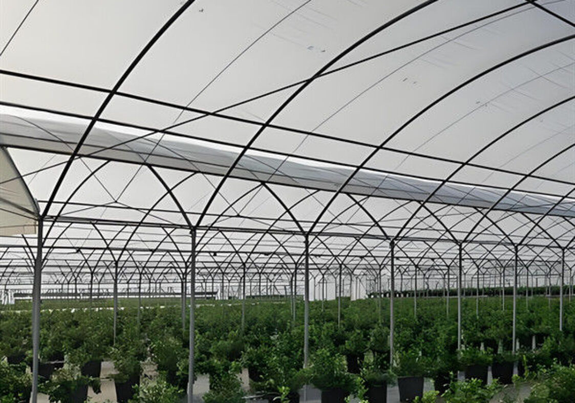 Multi Span Blueberry Planting Fruit Growing Greenhouse With Irrigation System