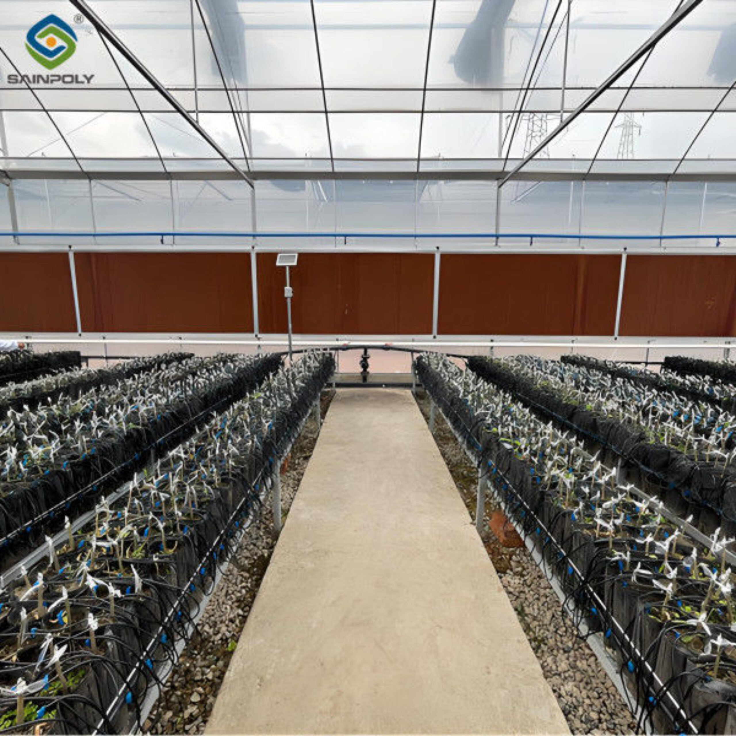Multi Span Commercial Agriculture Film Greenhouses For Tomatoes Cucumber