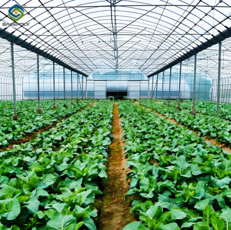 Multi Span Commercial Agriculture Film Greenhouses For Tomatoes Cucumber