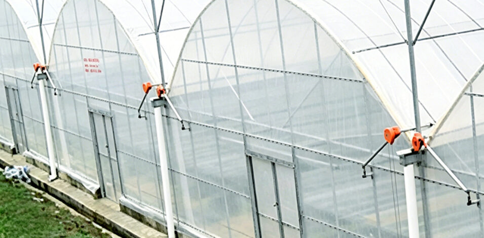 Multi-Span Greenhouse with Climate Control and Integrated Fertigation