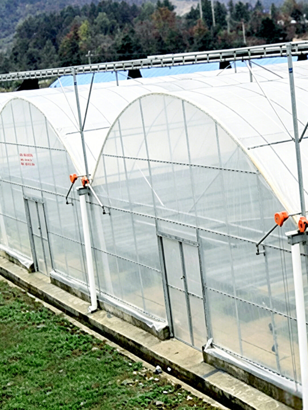Multi-Span Greenhouse with Climate Control and Integrated Fertigation