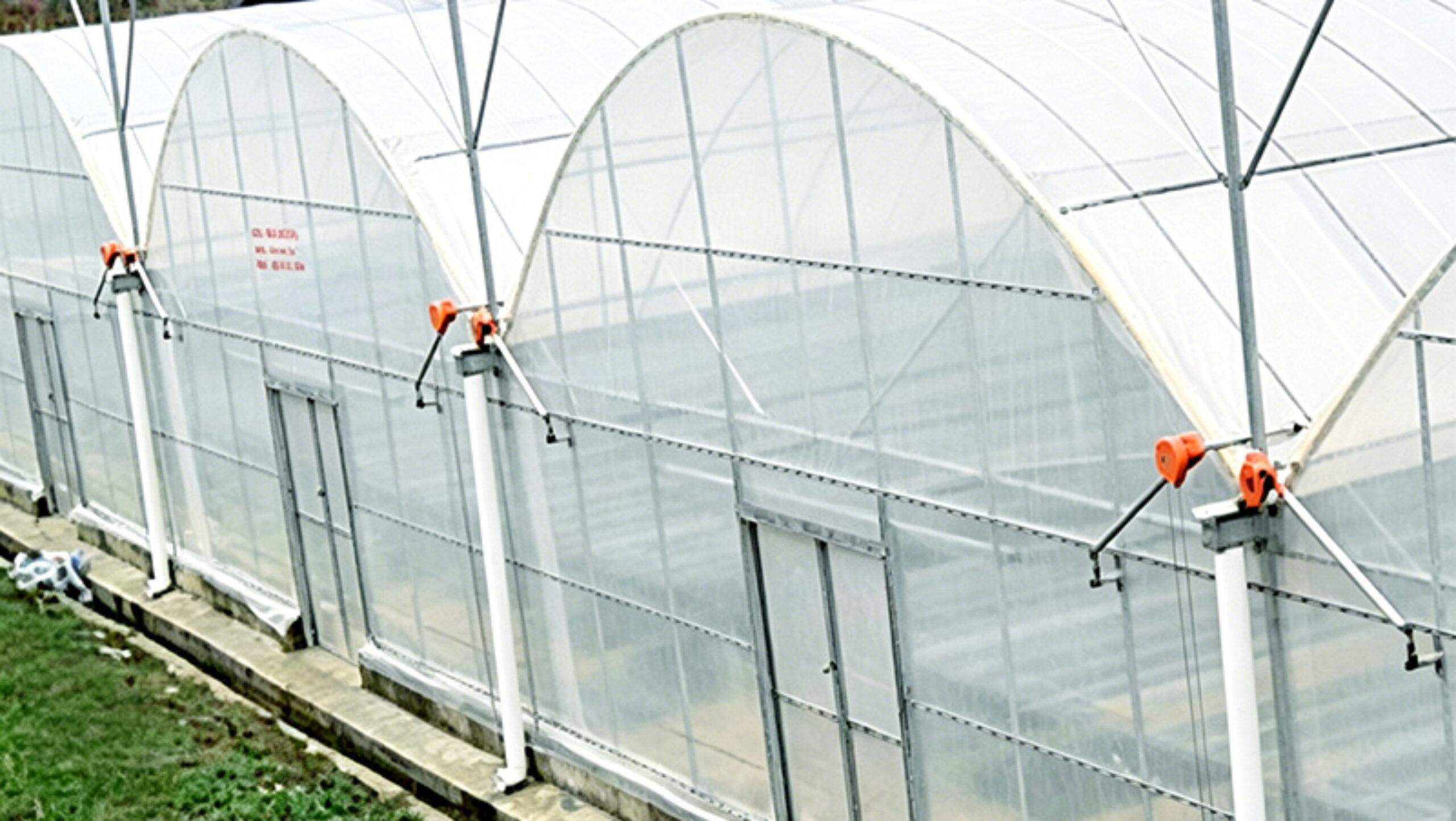 Multi-Span Greenhouse with Climate Control and Integrated Fertigation