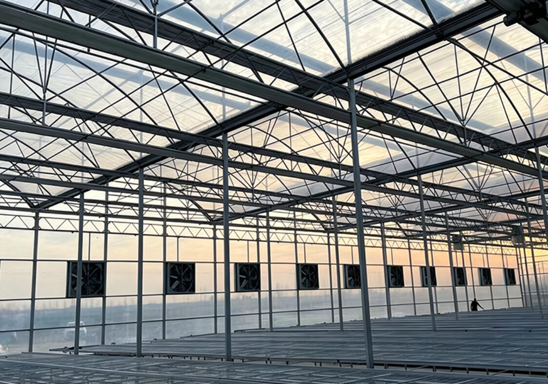 Multi-Span Greenhouse with Climate Control and Integrated Fertigation