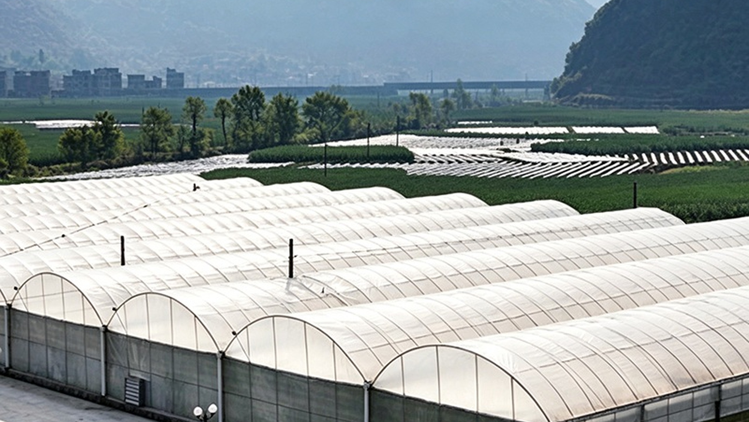 Smart multi-span greenhouse more-3