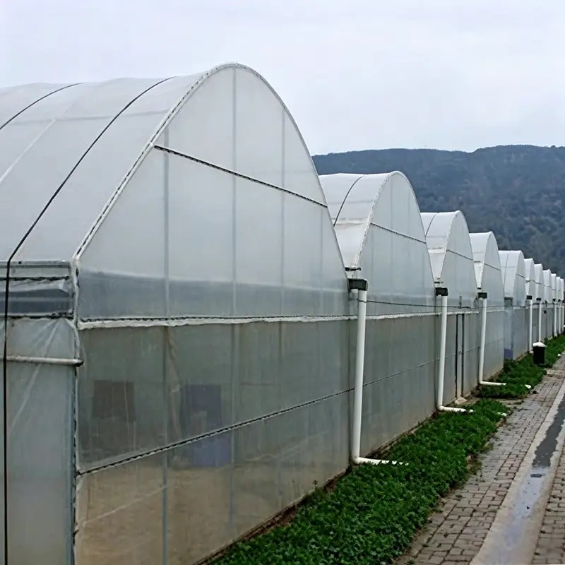 Smart multi-span greenhouse structure and film covering, view 4