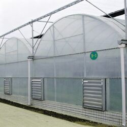 Smart multi-span greenhouse structure and film covering, view 3