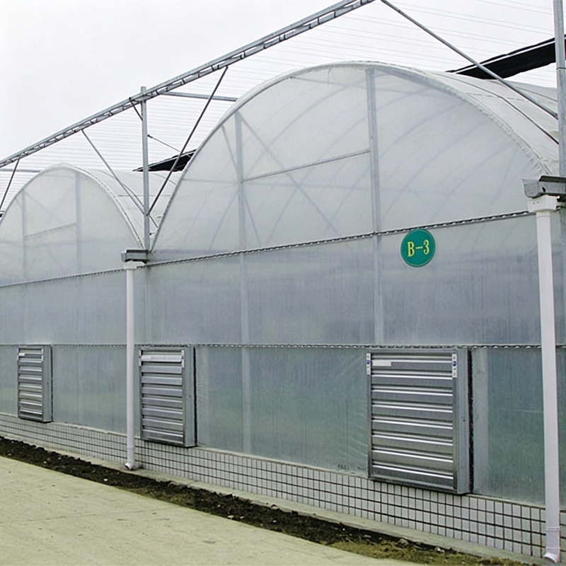 Smart multi-span greenhouse structure and film covering, view 3