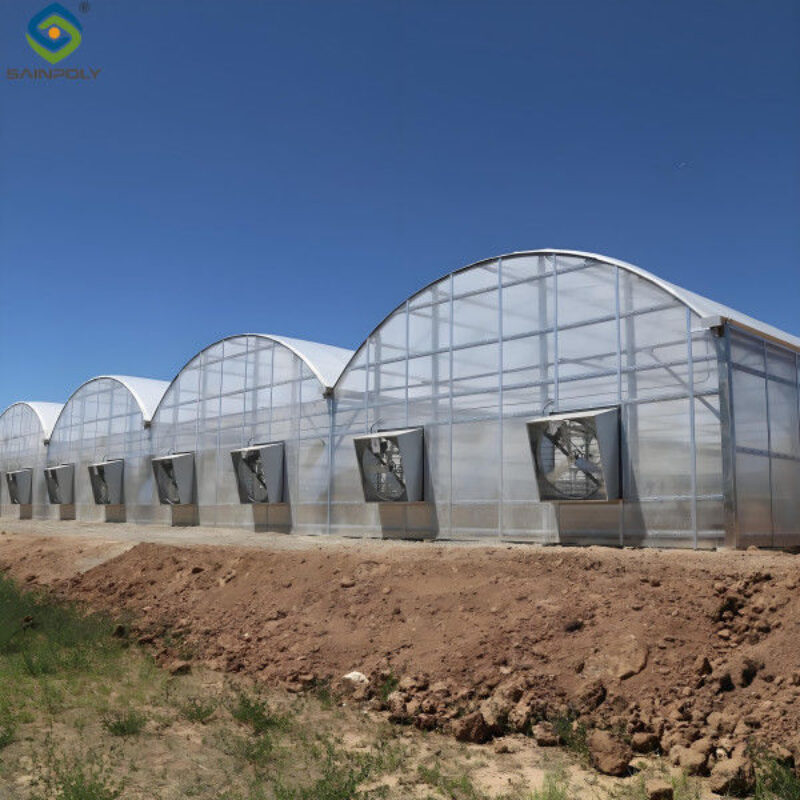 Multi Wall Polycarbonate Gothic Style Greenhouse With Hollow Sheet