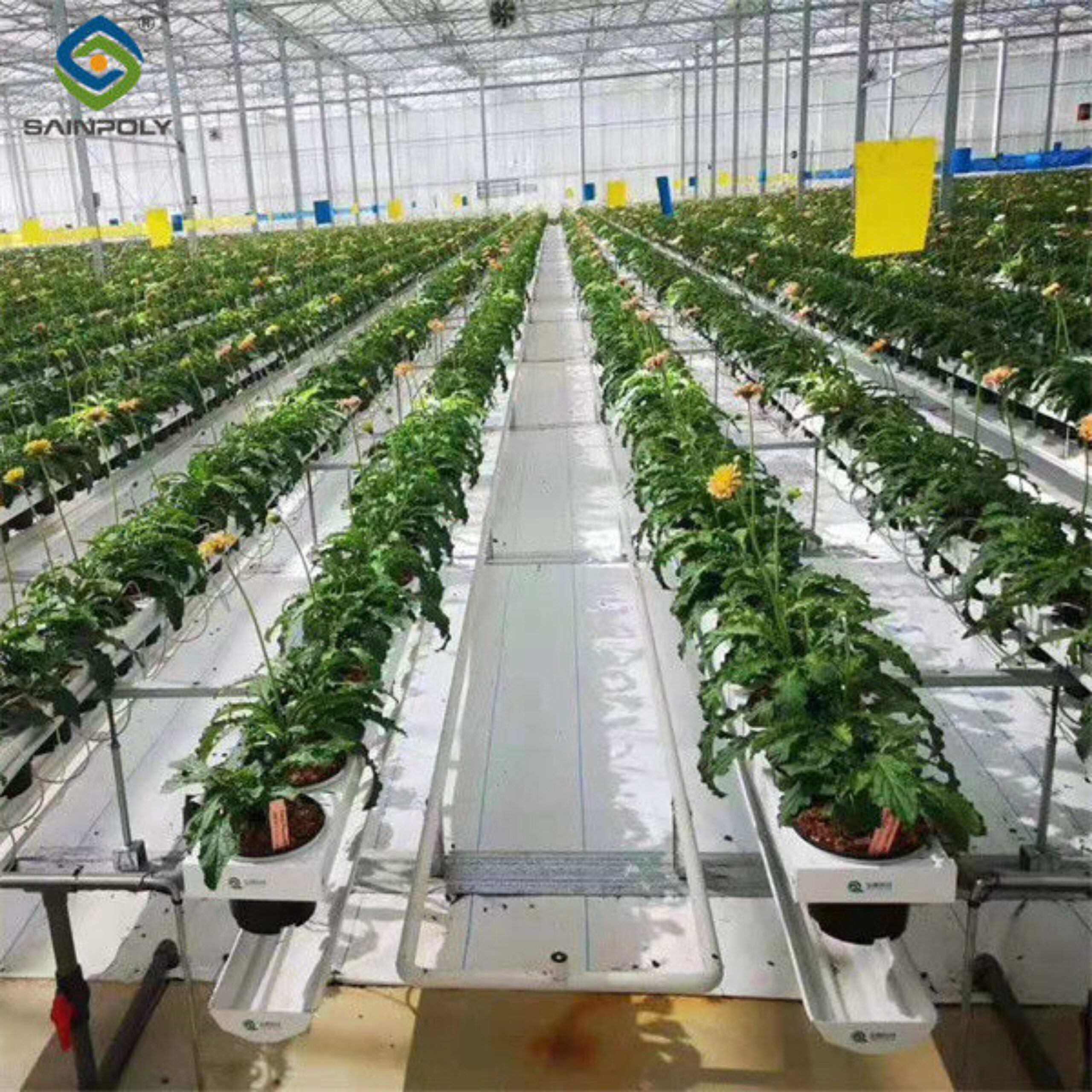 Multi Wall Polycarbonate Gothic Style Greenhouse With Hollow Sheet