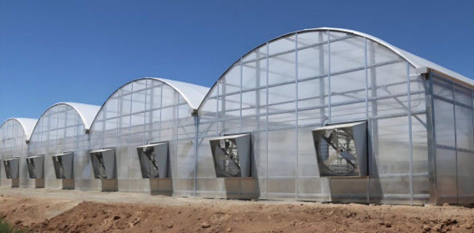 Multi Wall Polycarbonate Gothic Style Greenhouse With Hollow Sheet