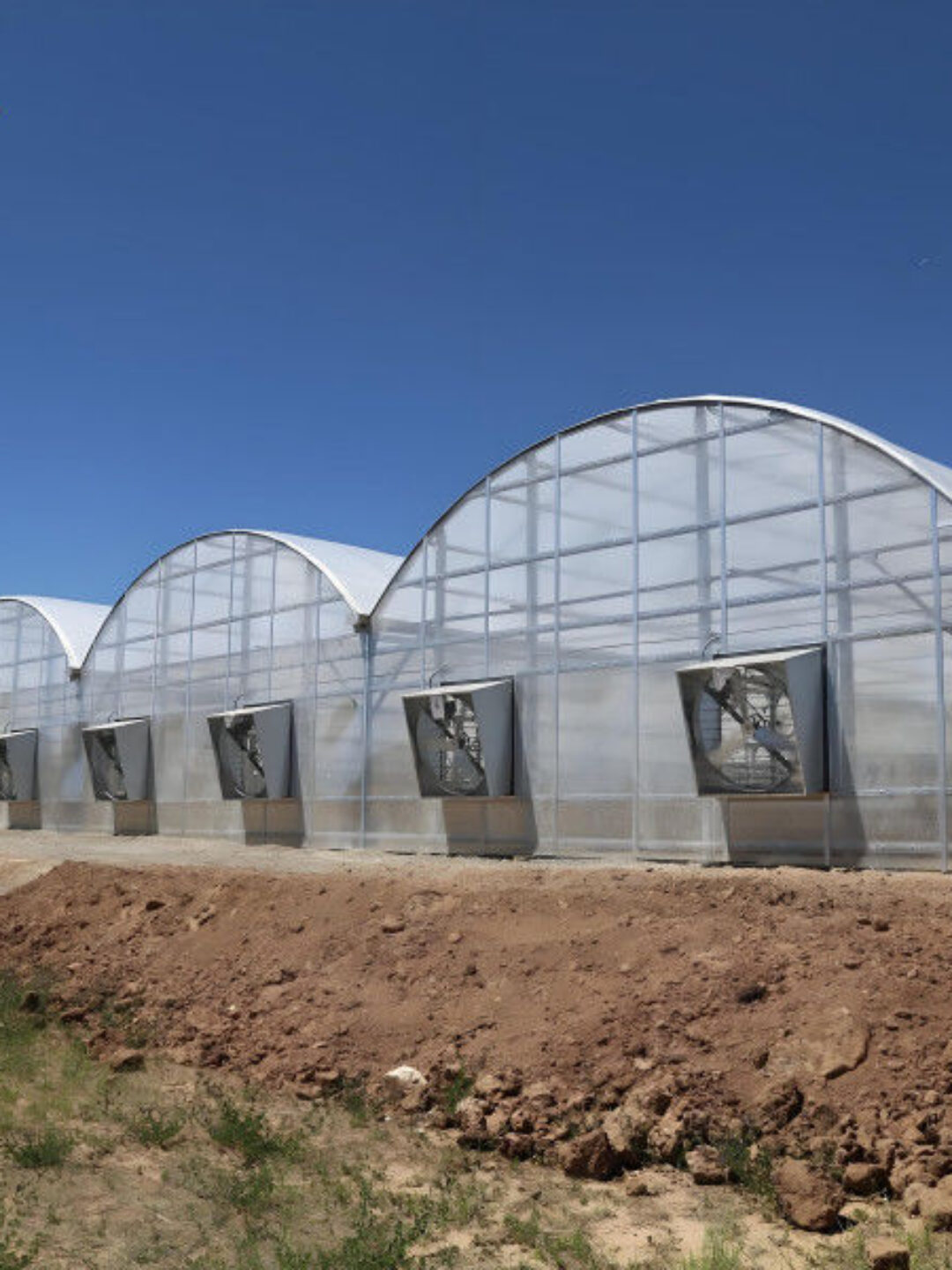 Multi Wall Polycarbonate Gothic Style Greenhouse With Hollow Sheet