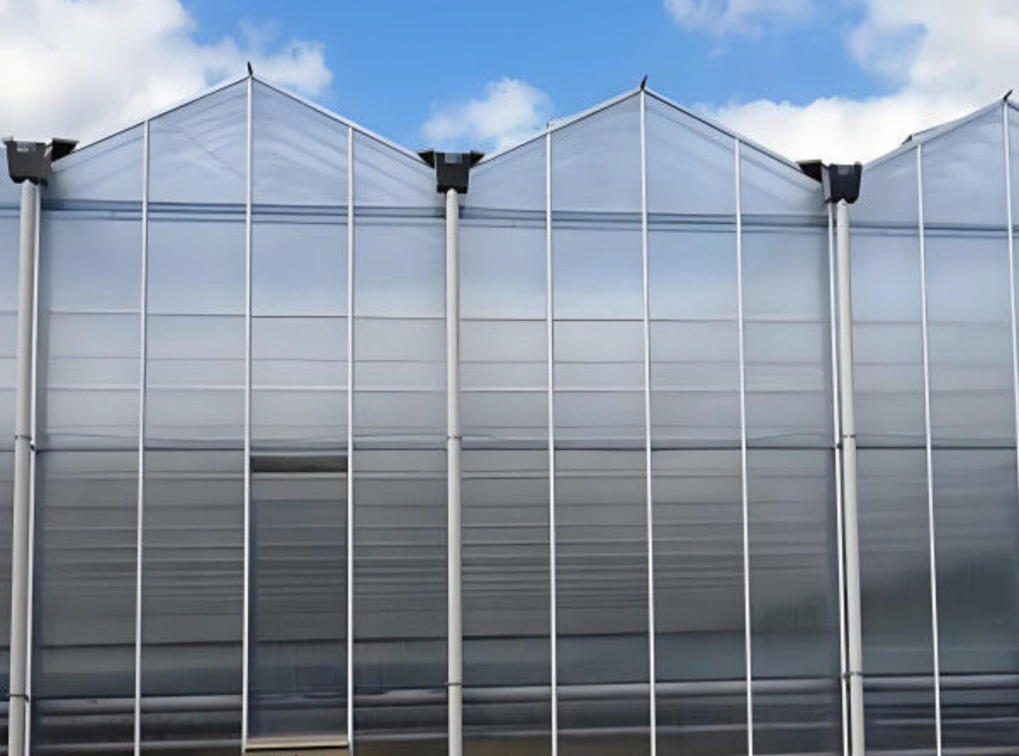 Multi Wall Polycarbonate Gothic Style Greenhouse With Hollow Sheet