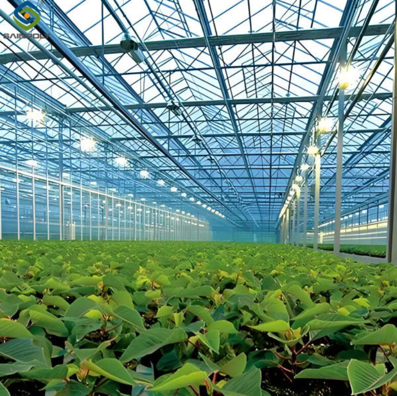 Multi Wall Polycarbonate Gothic Style Greenhouse With Hollow Sheet