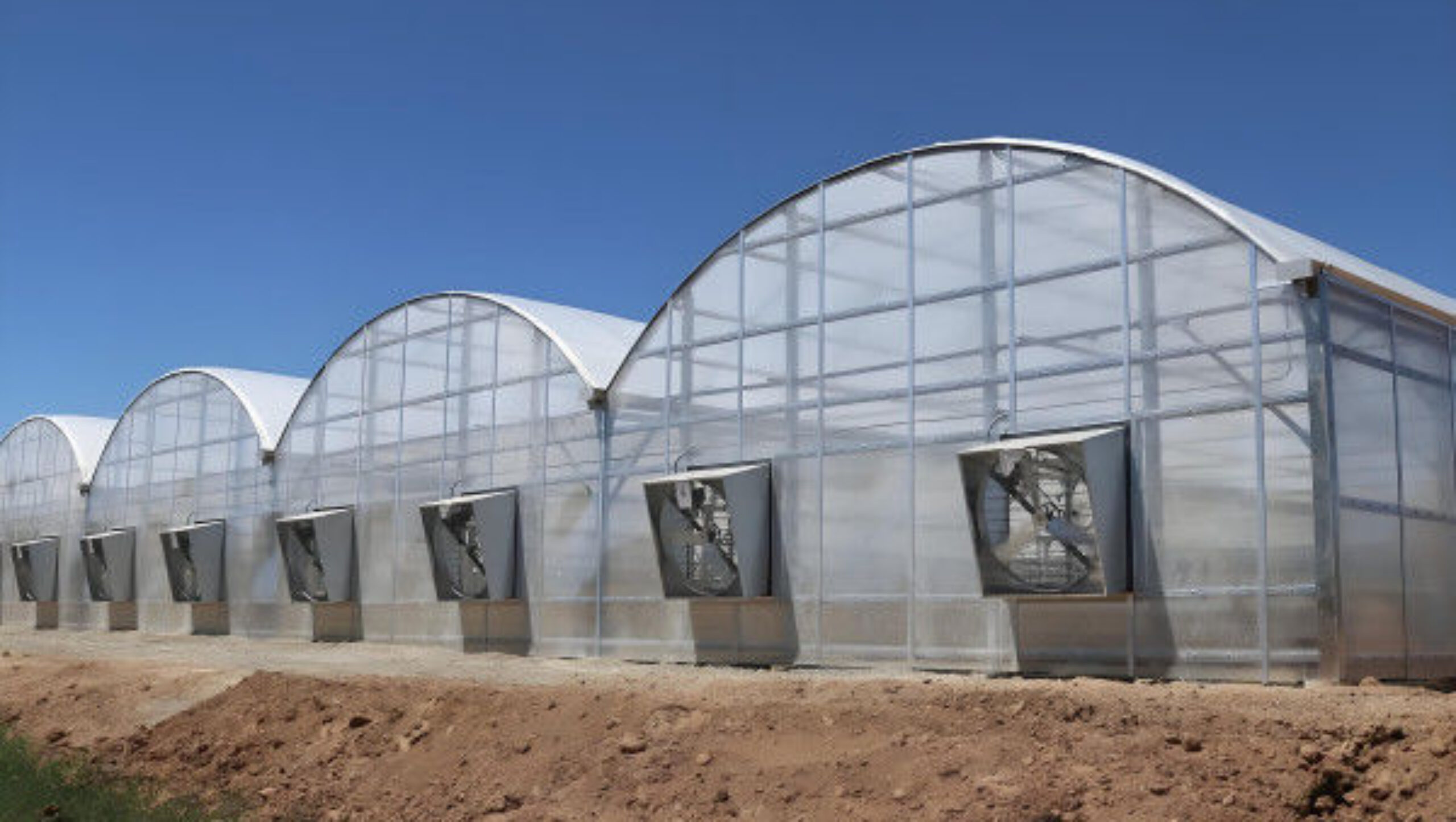 Multi Wall Polycarbonate Gothic Style Greenhouse With Hollow Sheet