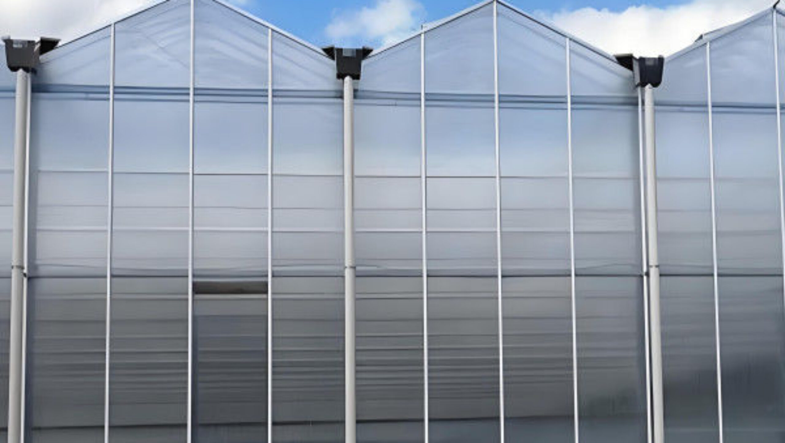 Multi Wall Polycarbonate Gothic Style Greenhouse With Hollow Sheet