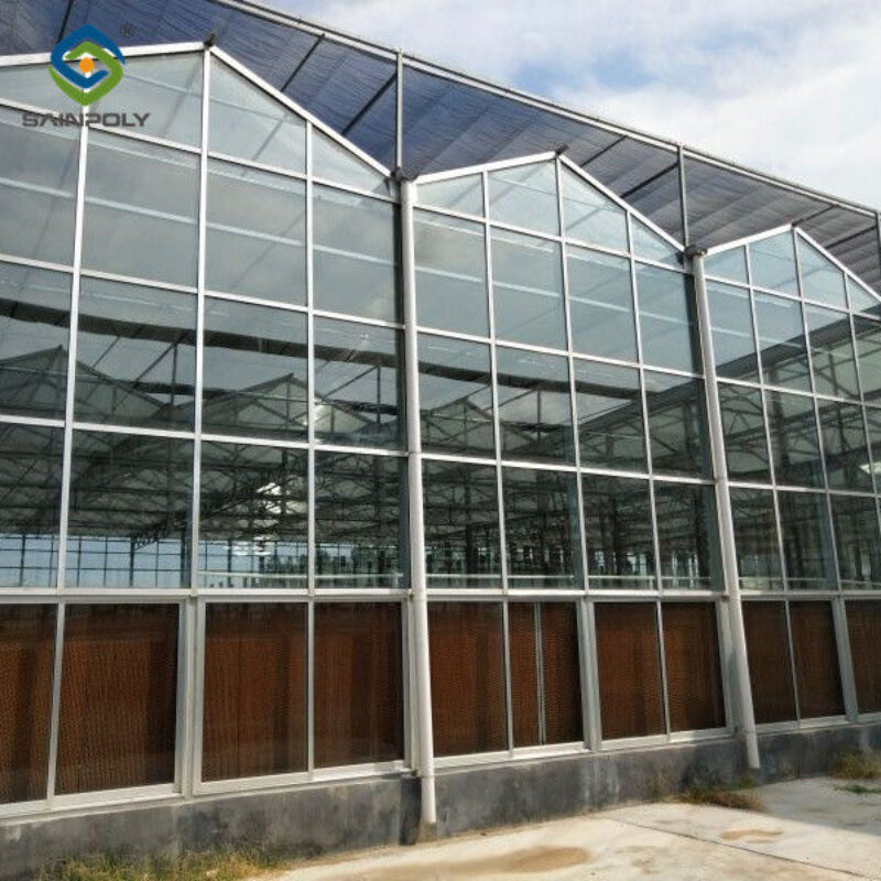 Multispan Agricultural Venlo Glass Greenhouse Good Insulation In Winter