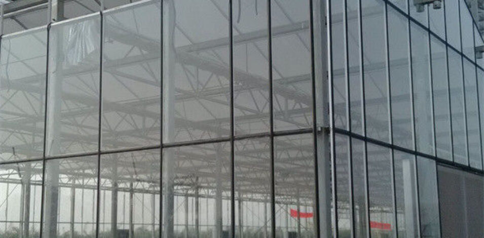 Multispan Agricultural Venlo Glass Greenhouse Good Insulation In Winter