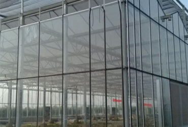 Multispan Agricultural Venlo Glass Greenhouse Good Insulation In Winter