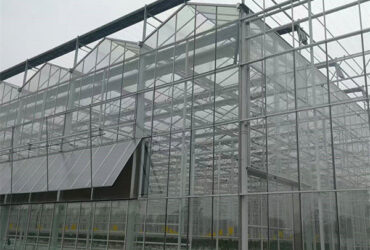 Multispan Agricultural Venlo Glass Greenhouse Good Insulation In Winter