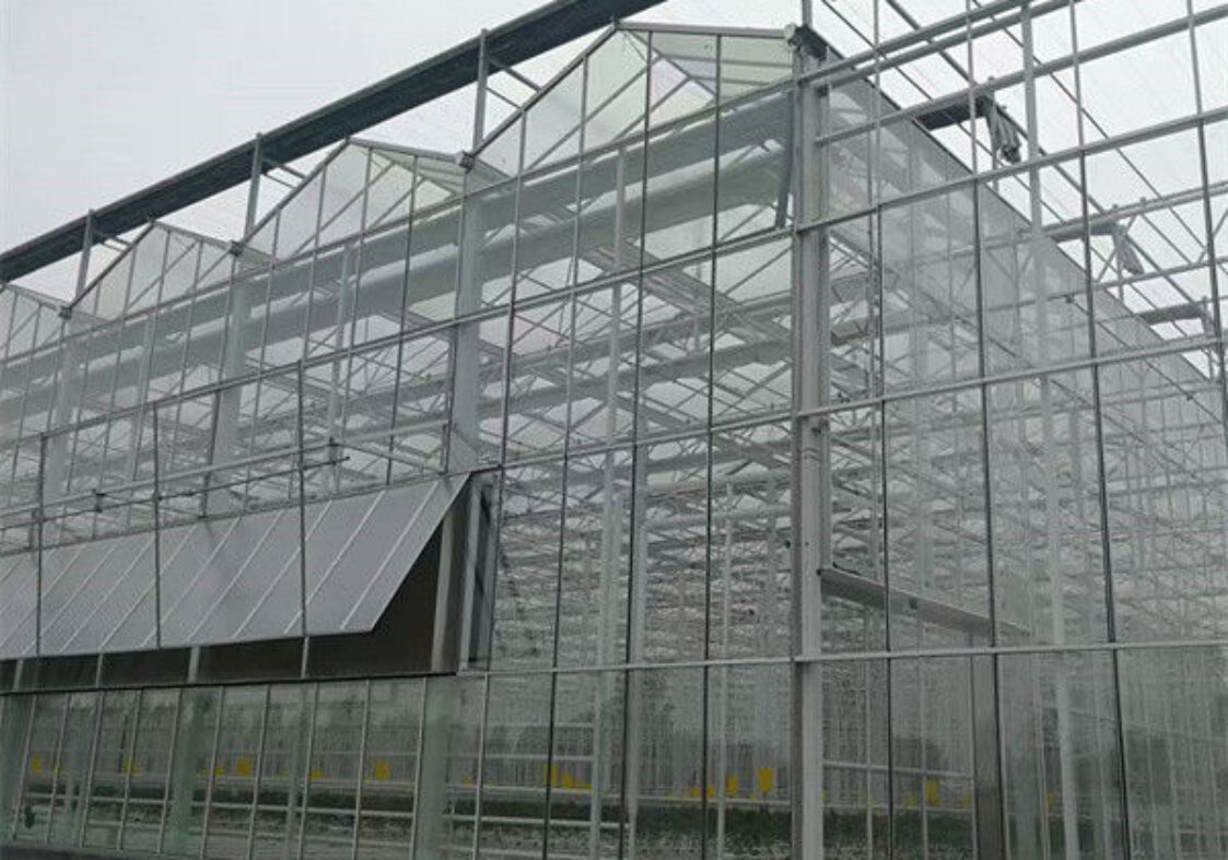 Multispan Agricultural Venlo Glass Greenhouse Good Insulation In Winter