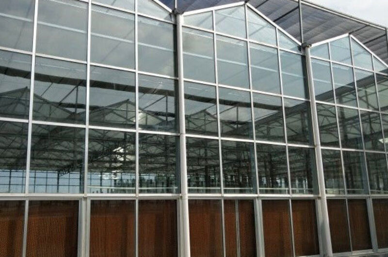 Multispan Agricultural Venlo Glass Greenhouse Good Insulation In Winter