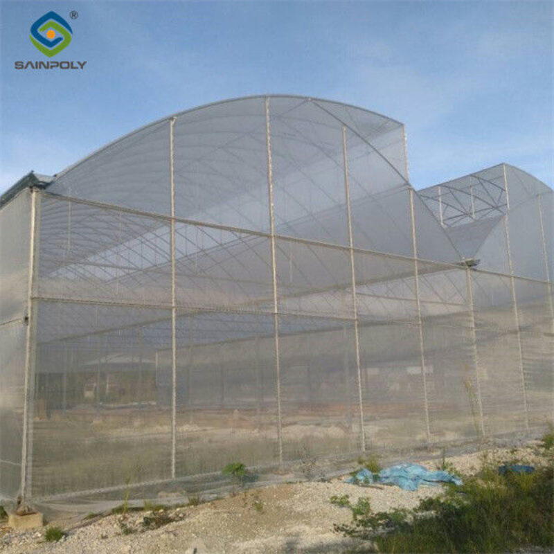 Multispan Greenhouse Complete Hydroponic Nft Greenhouse 6.0~12.0m Span