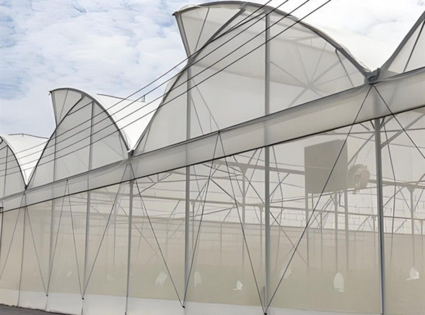 Multispan Greenhouse Complete Hydroponic Nft Greenhouse 6.0~12.0m Span