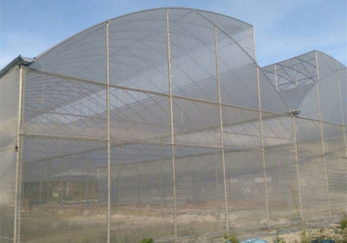 Multispan Greenhouse Complete Hydroponic Nft Greenhouse 6.0~12.0m Span