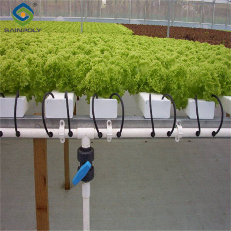 Multispan Lettuce Work Greenhouse With NFT Hydroponic Growing Systems
