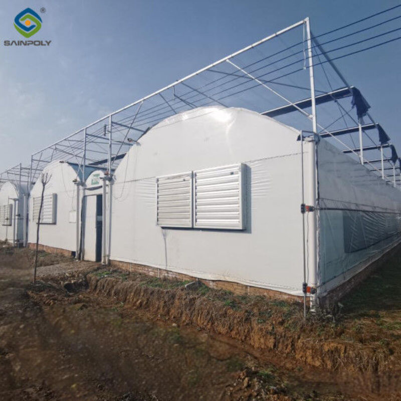 Multispan Vegetable Growing Greenhouse Commercial Tunnel Greenhouse