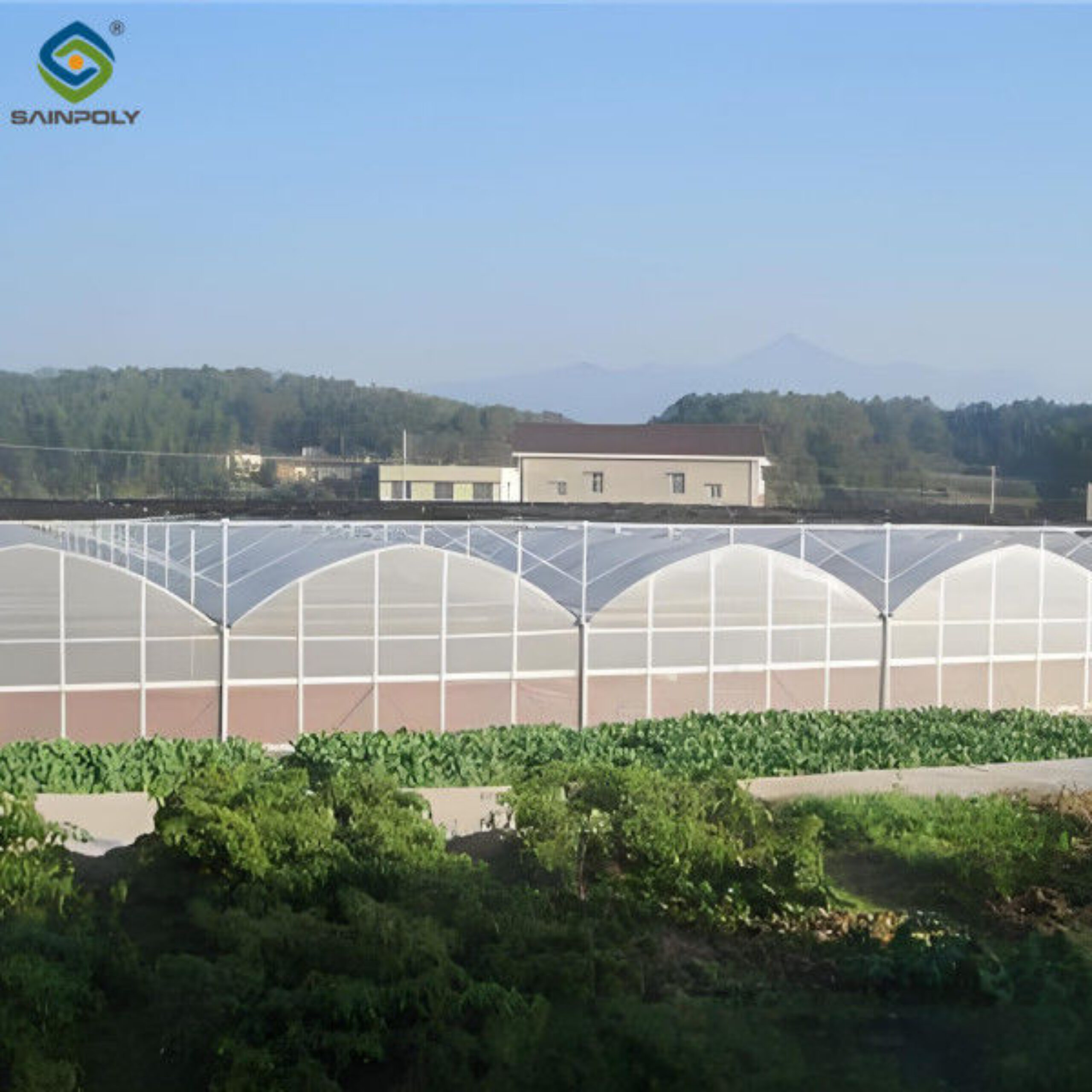 Multispan Vegetable Growing Greenhouse Commercial Tunnel Greenhouse