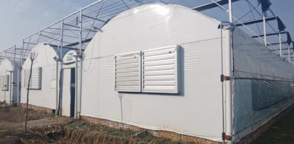 Multispan Vegetable Growing Greenhouse Commercial Tunnel Greenhouse