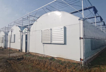 Multispan Vegetable Growing Greenhouse Commercial Tunnel Greenhouse