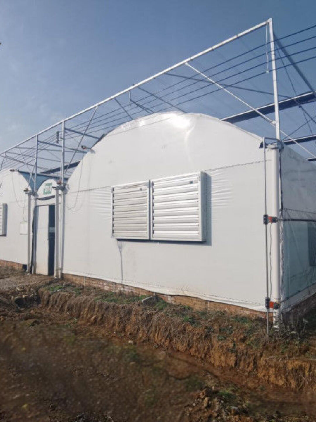Multispan Vegetable Growing Greenhouse Commercial Tunnel Greenhouse