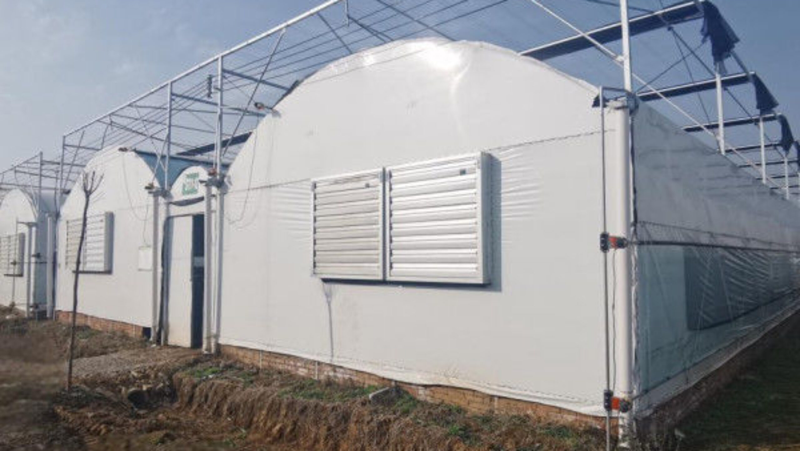Multispan Vegetable Growing Greenhouse Commercial Tunnel Greenhouse