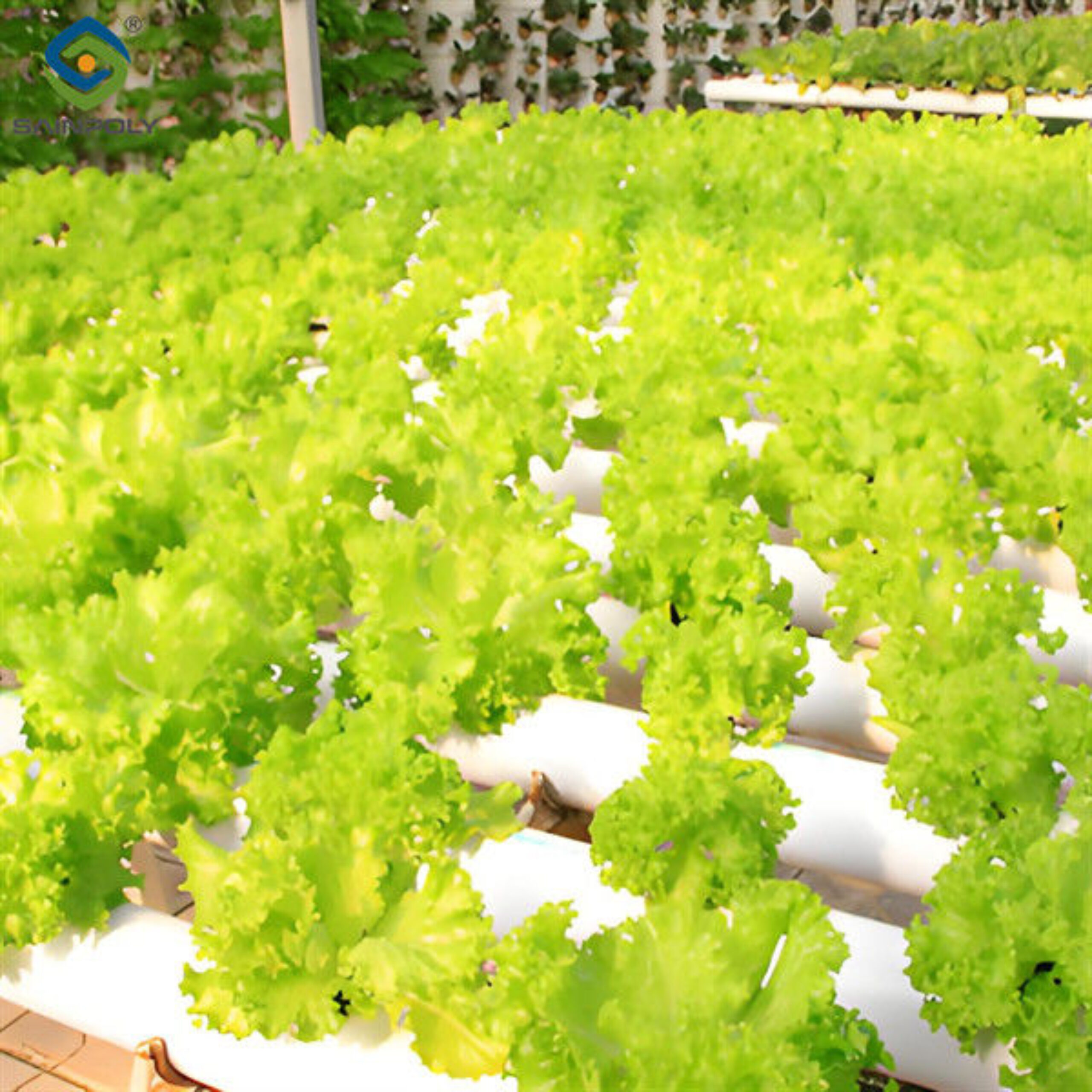 OEM Agricultural Hydroponic Green House With Top And Side Window Ventilation