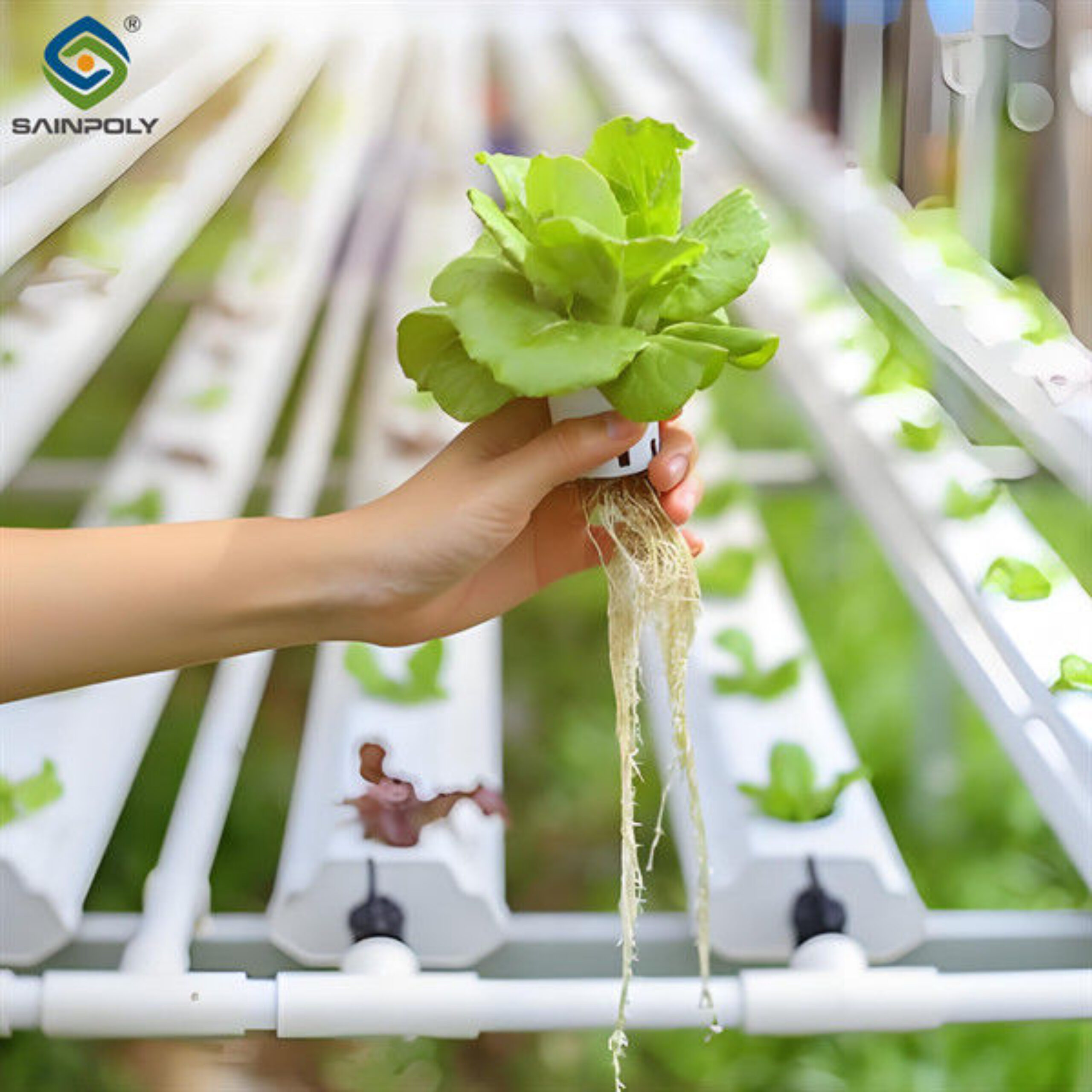 OEM Agricultural Hydroponic Green House With Top And Side Window Ventilation