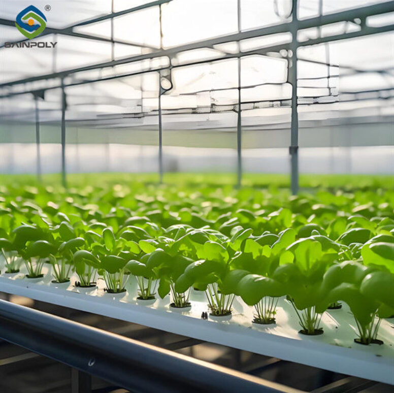 OEM Agricultural Hydroponic Green House With Top And Side Window Ventilation