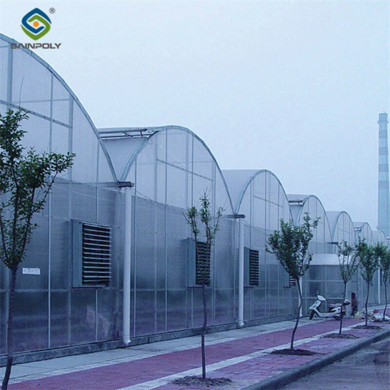 OEM Commercial Polycarbonate Greenhouse Kits Single Span Greenhouse Vegetable Seeding