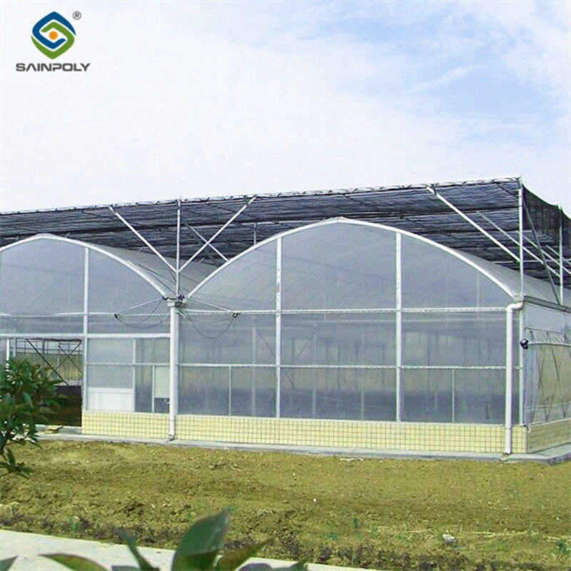 OEM Commercial Polycarbonate Greenhouse Kits Single Span Greenhouse Vegetable Seeding