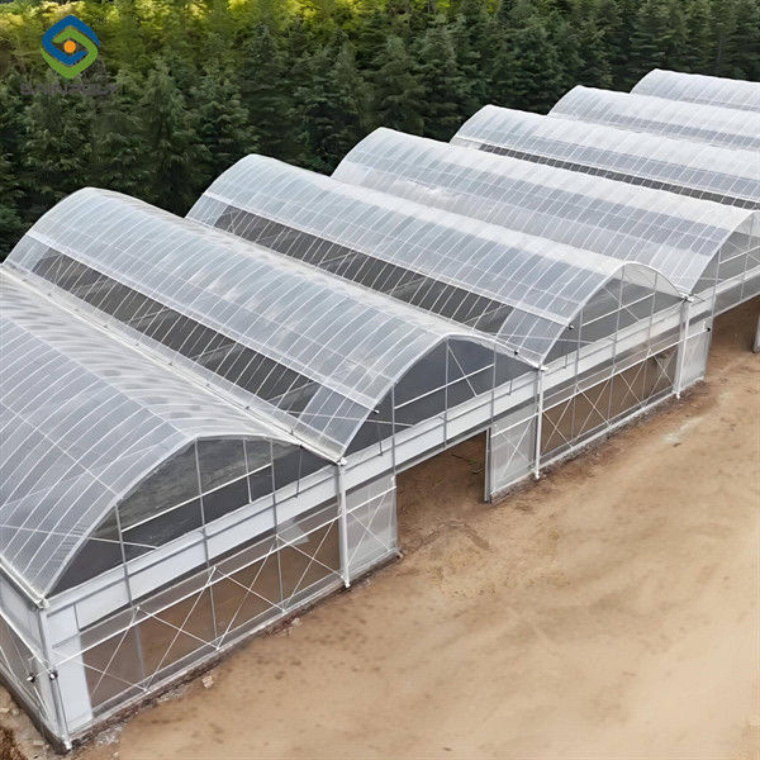 OEM Commercial Polycarbonate Greenhouse Kits Single Span Greenhouse Vegetable Seeding