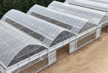OEM Commercial Polycarbonate Greenhouse Kits Single Span Greenhouse Vegetable Seeding