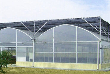 OEM Commercial Polycarbonate Greenhouse Kits Single Span Greenhouse Vegetable Seeding