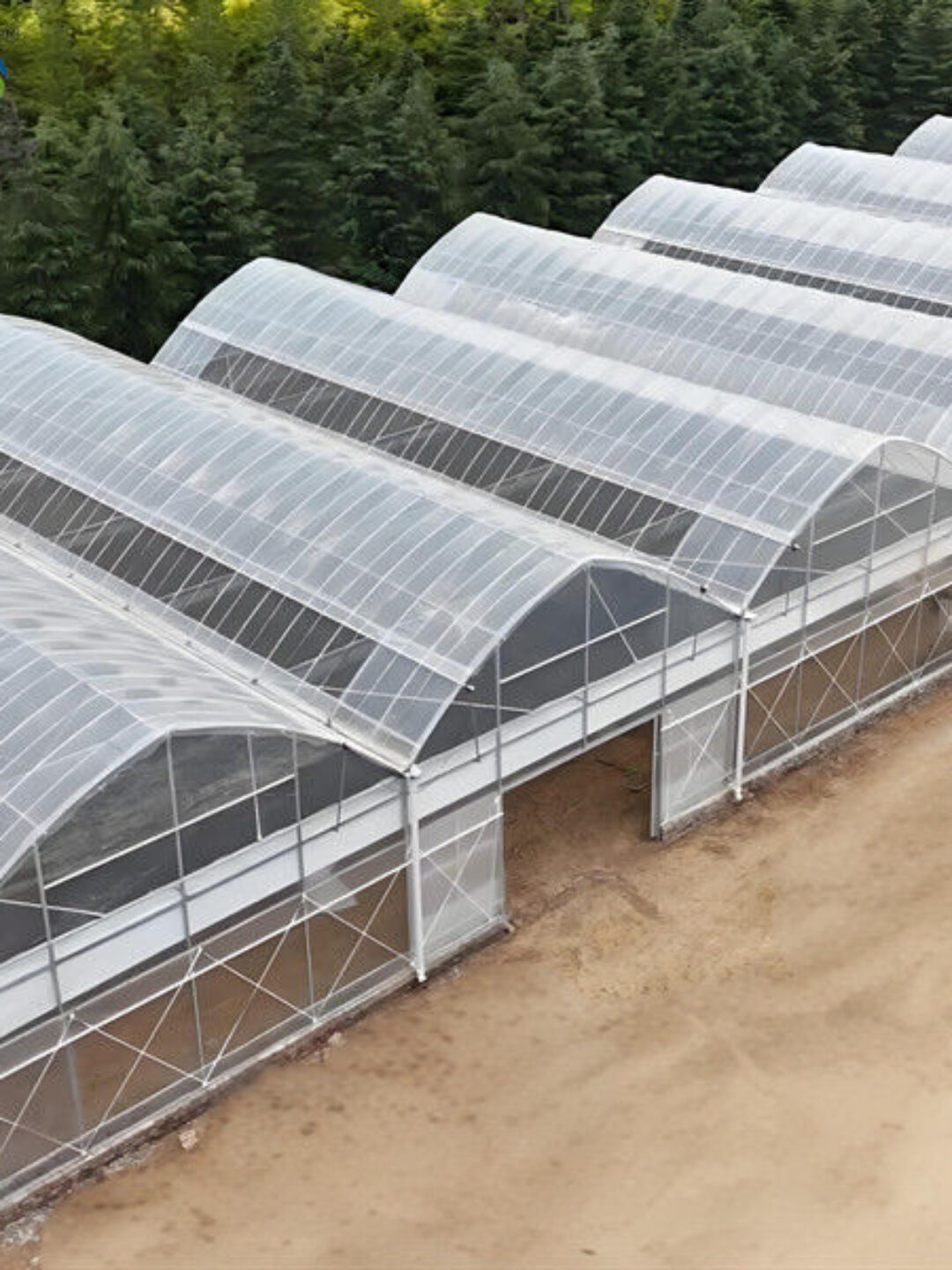 OEM Commercial Polycarbonate Greenhouse Kits Single Span Greenhouse Vegetable Seeding