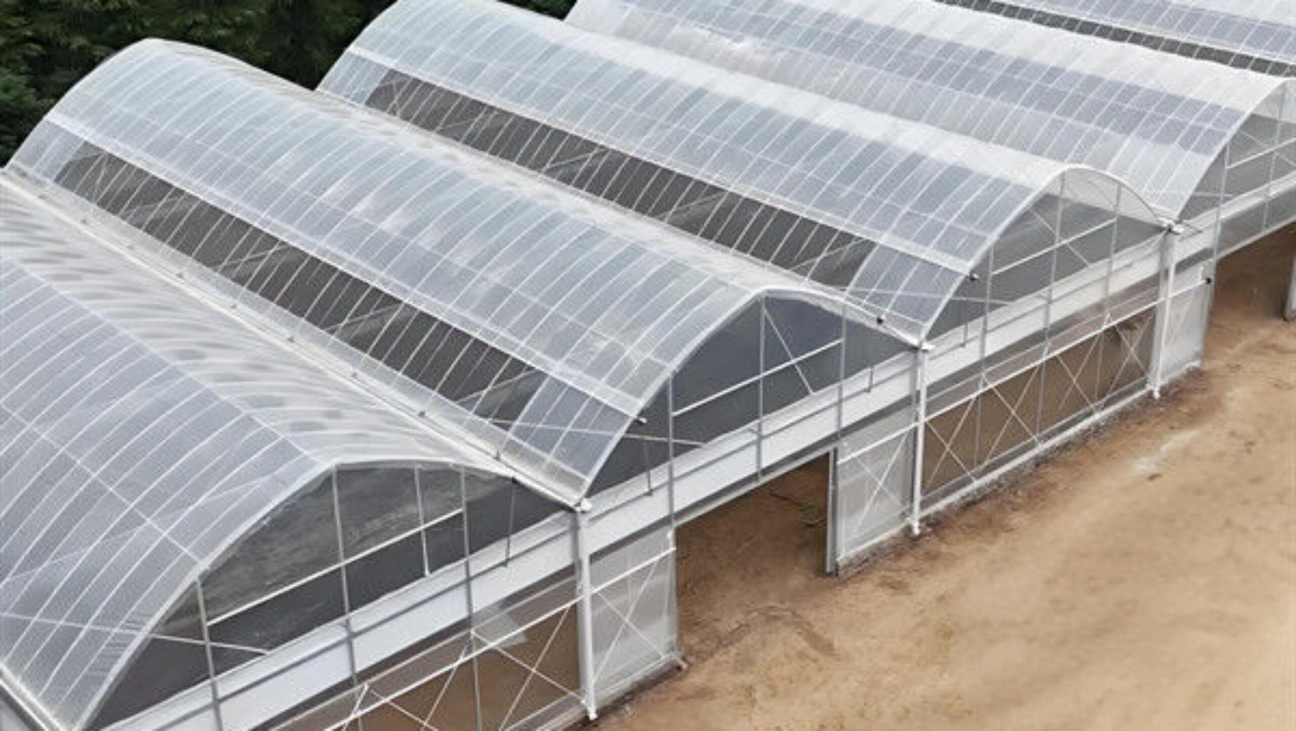OEM Commercial Polycarbonate Greenhouse Kits Single Span Greenhouse Vegetable Seeding